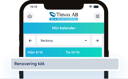 Dela projektplanen